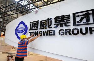 What Makes Tongwei Polysilicon Stand Out?